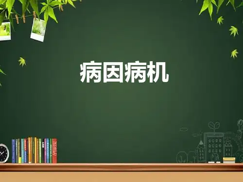 中医病因病机 PPT