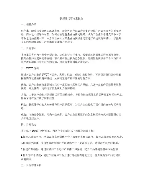 新媒体运营方案作业