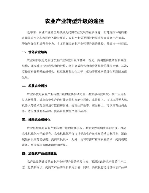 农业产业转型升级的途径