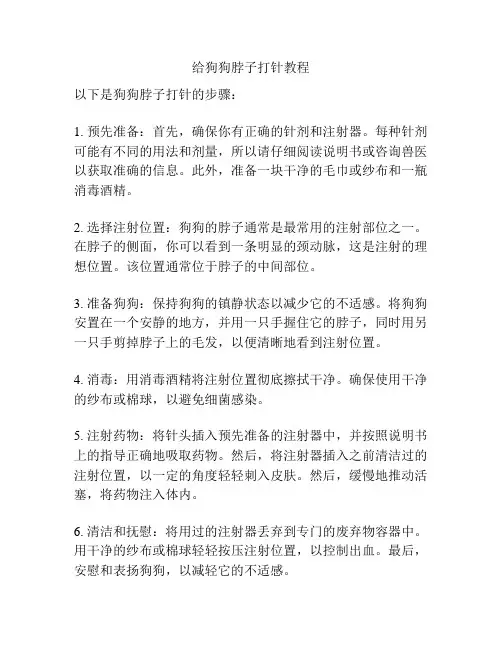 给狗狗脖子打针教程