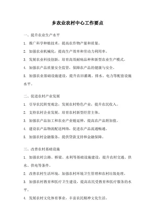 乡农业农村中心工作要点