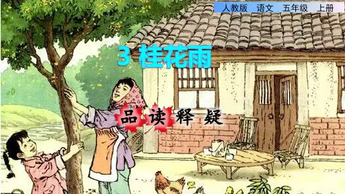 【人教部编版】桂花雨优秀课件2