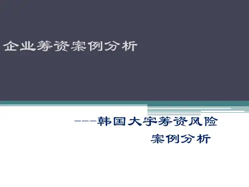 韩国大宇案例分析