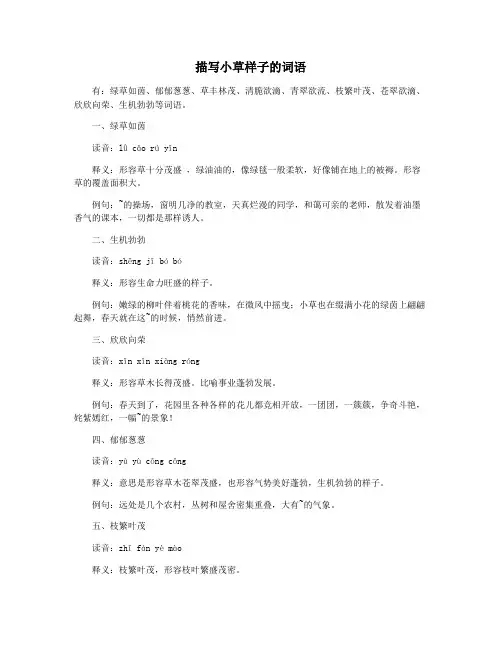 描写小草样子的词语