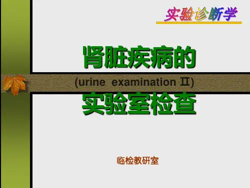 实验室诊断肾功能PPT课件