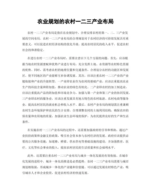 农业规划的农村一二三产业布局