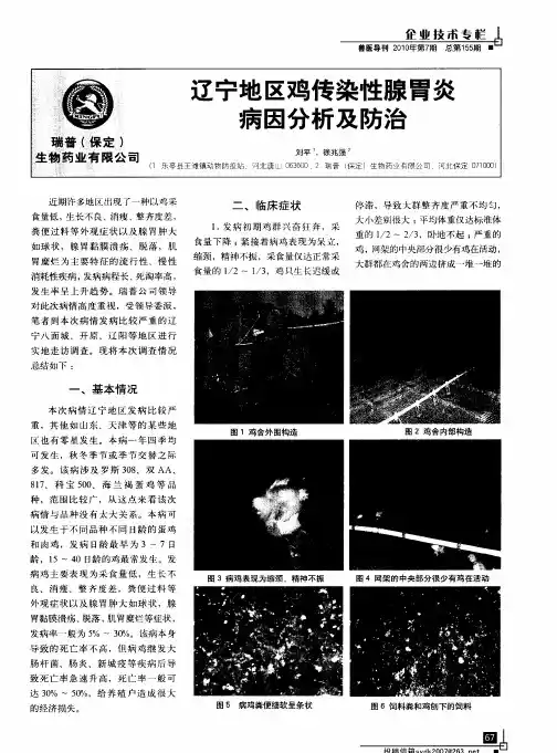 辽宁地区鸡传染性腺胃炎病因分析及防治