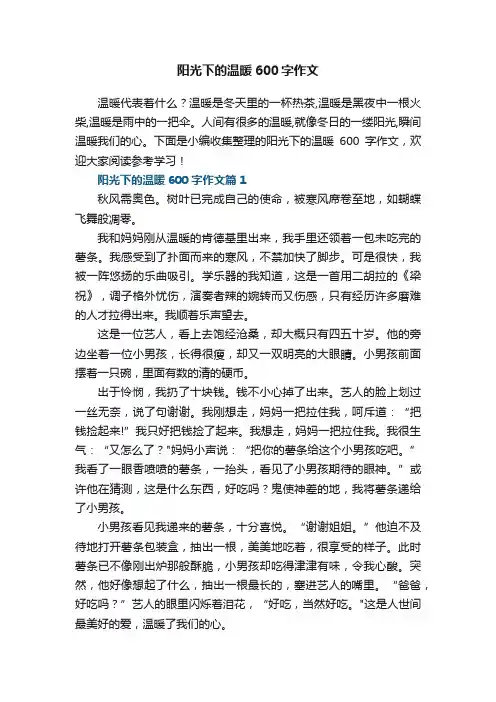 阳光下的温暖600字作文（5篇）