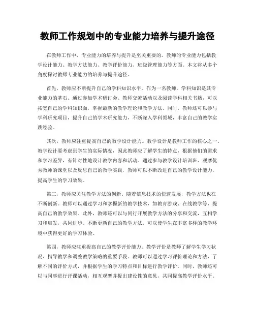 教师工作规划中的专业能力培养与提升途径