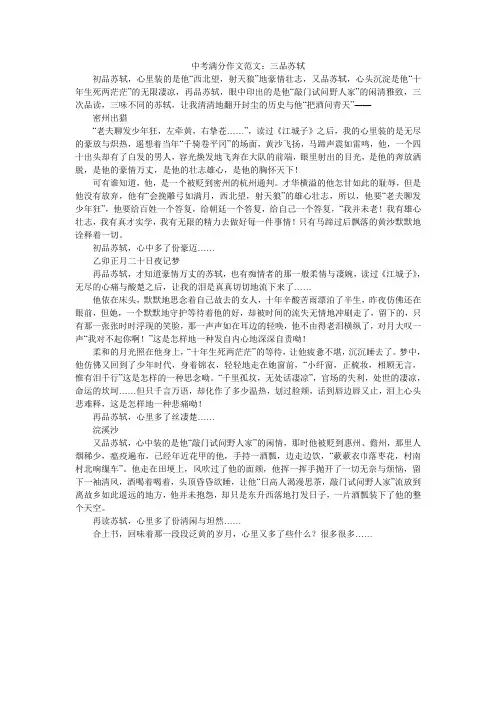 (完整版)中考满分作文范文：三品苏轼