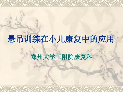 悬吊训练set