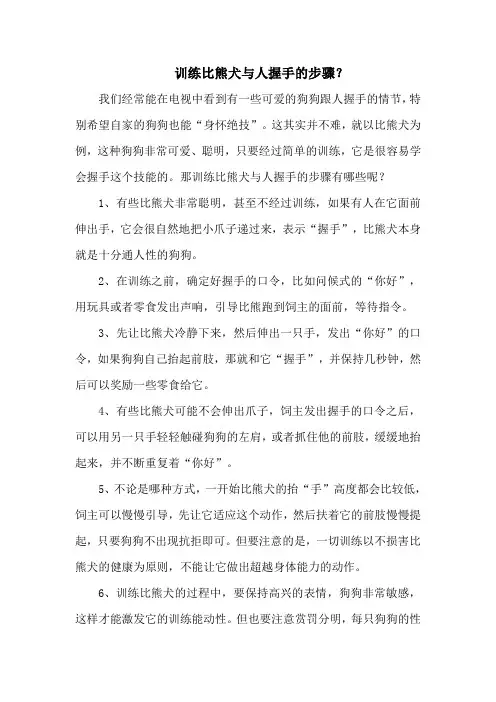 训练比熊犬与人握手的步骤？