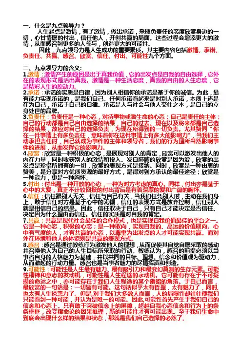 九点领导力解析