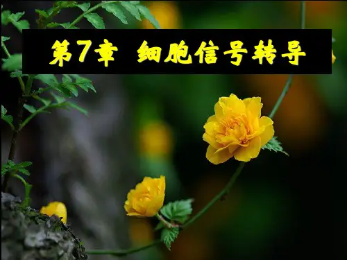 植物生理学：第7章  细胞信号转导