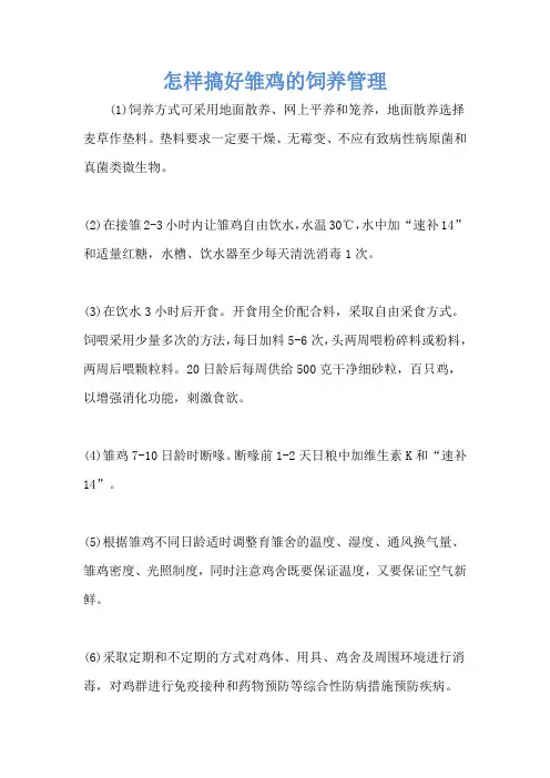 怎样搞好雏鸡的饲养管理