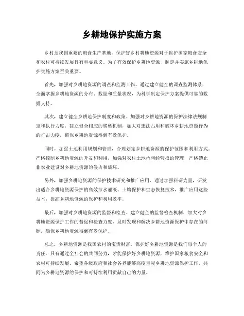乡耕地保护实施方案