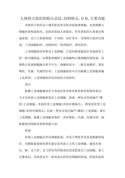 人体四大组织的特点总结,结构特点,分布,主要功能