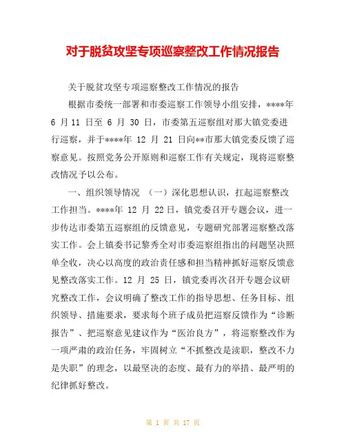 对于脱贫攻坚专项巡察整改工作情况报告