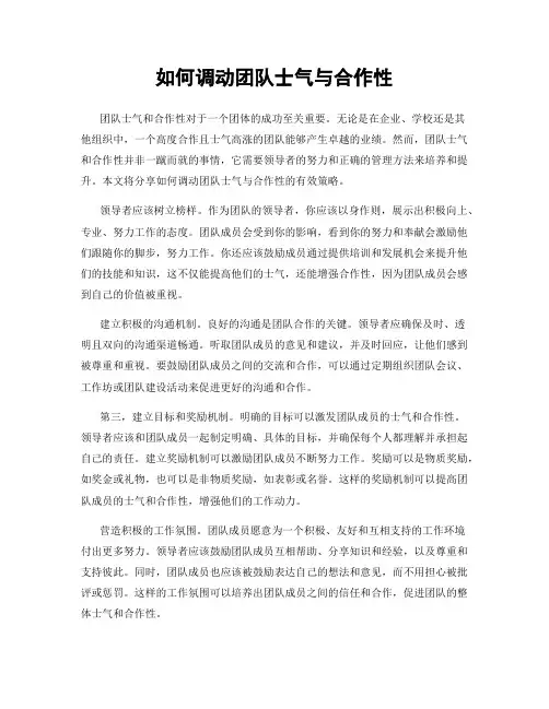 如何调动团队士气与合作性
