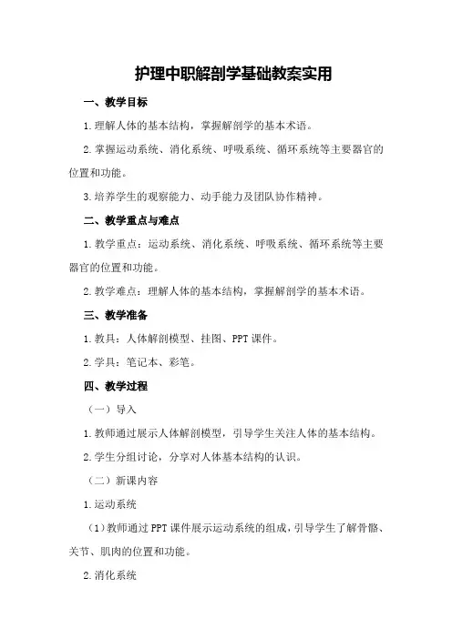 护理中职解剖学基础教案实用