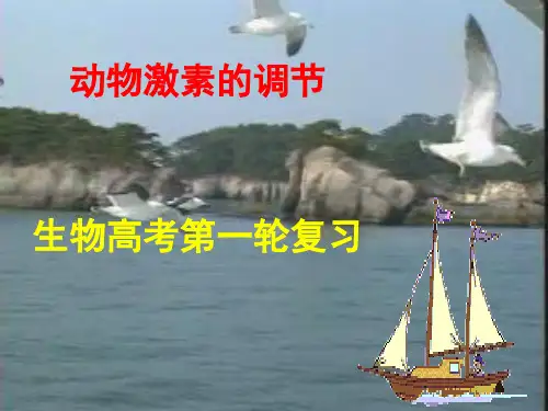 生物高考第一轮复习动物激素调节展示课课件