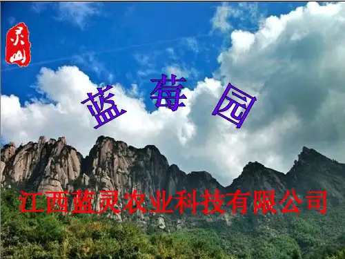 蓝莓知识简介幻灯片.Bandari