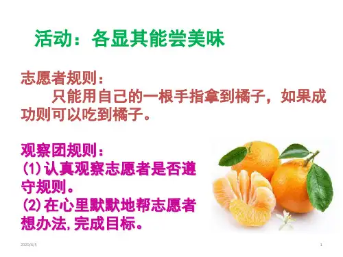 六年级上册心理健康教育课件-7在合作中成长 ｜ 辽大版 (共23张PPT)