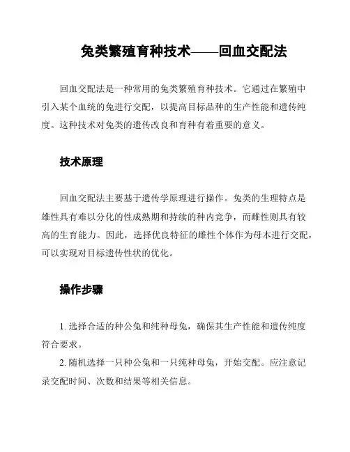 兔类繁殖育种技术——回血交配法