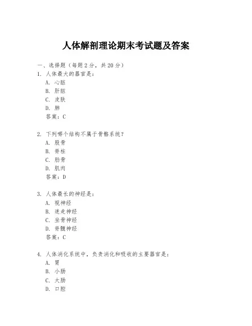 人体解剖理论期末考试题及答案