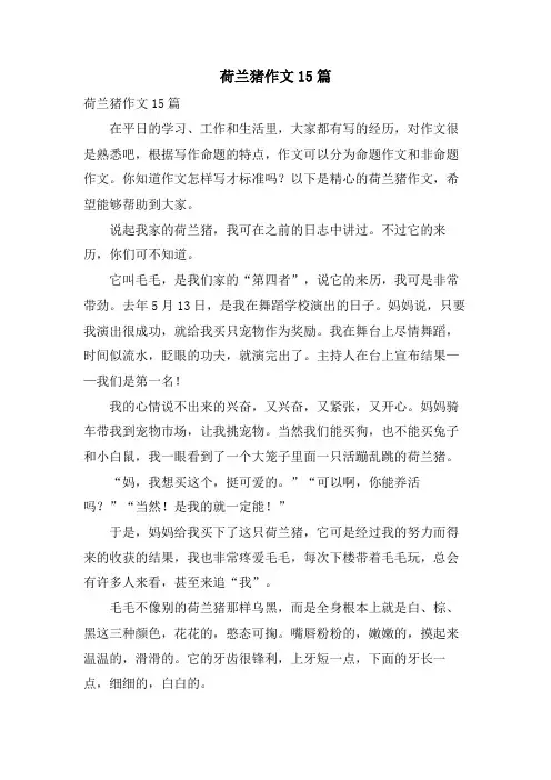 荷兰猪作文15篇