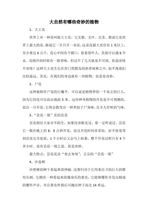 大自然有哪些奇妙的植物