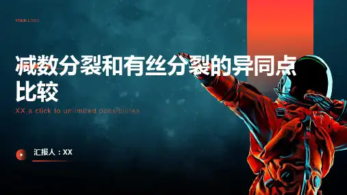 减数分裂和有丝分裂异同点比较