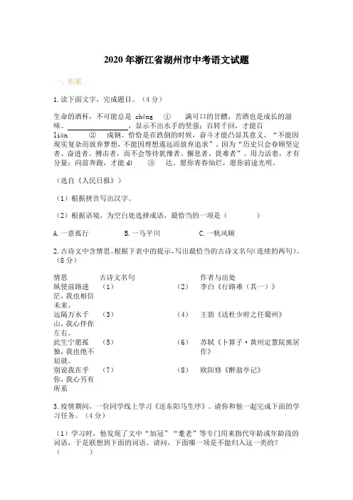 2020年浙江省湖州市中考语文试题 含答案