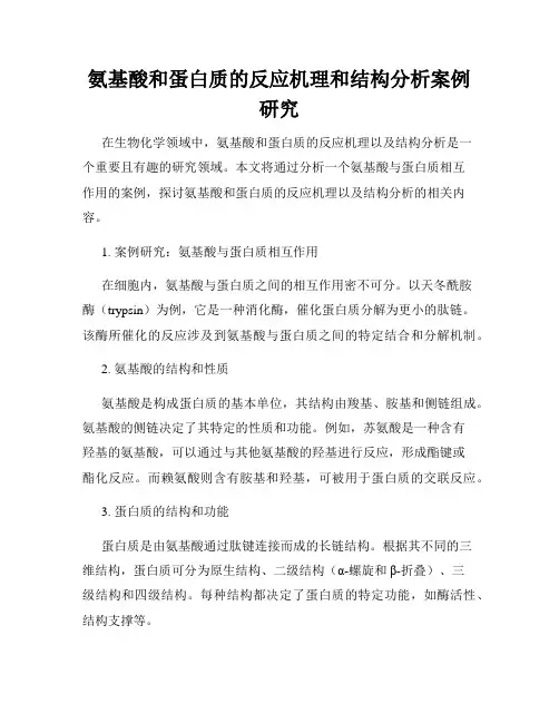 氨基酸和蛋白质的反应机理和结构分析案例研究