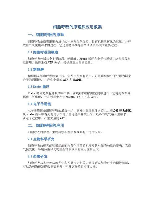 细胞呼吸的原理和应用教案
