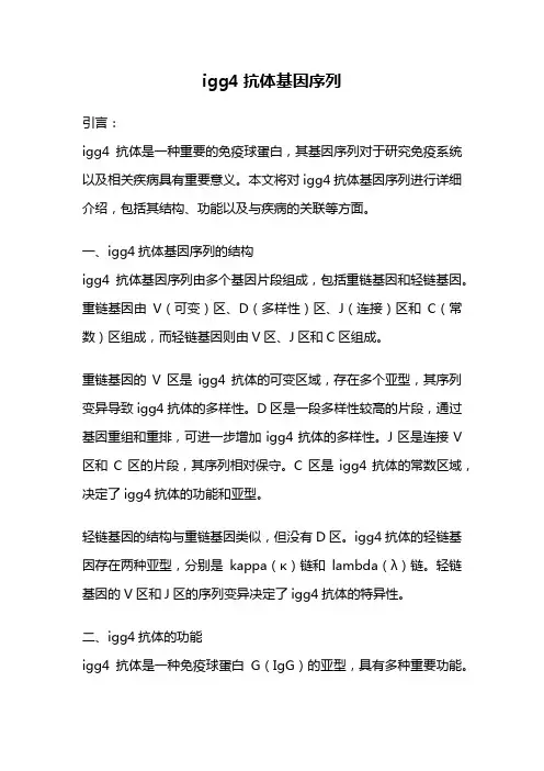 igg4抗体基因序列
