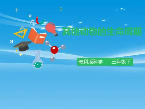 《其他动物的生命周期》动物的生命周期PPT下载【品质课件PPT】