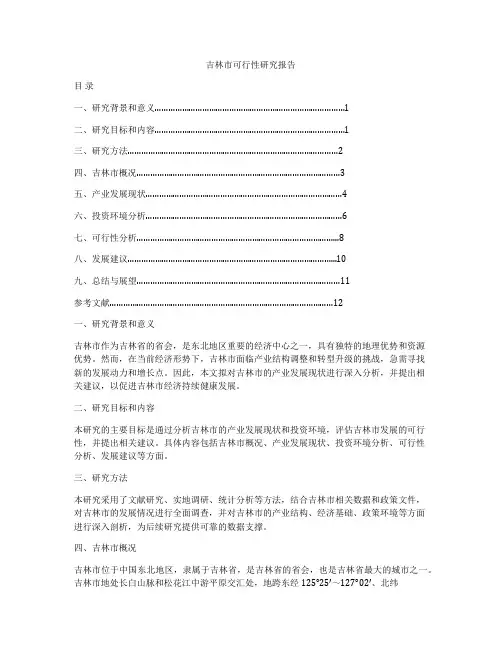 吉林市可行性研究报告