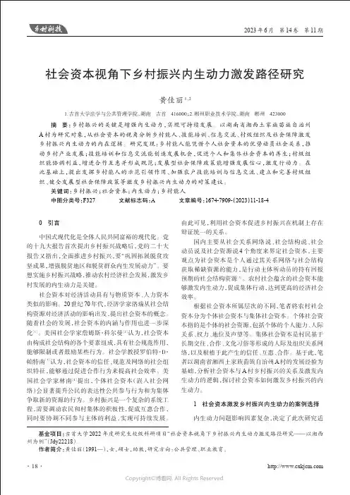 社会资本视角下乡村振兴内生动力激发路径研究