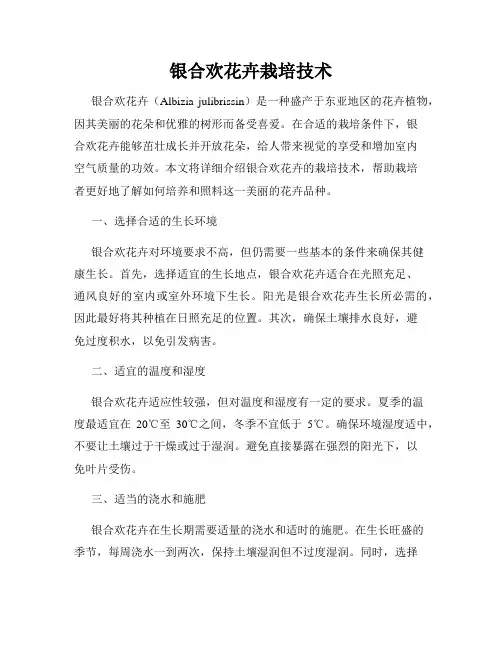 银合欢花卉栽培技术