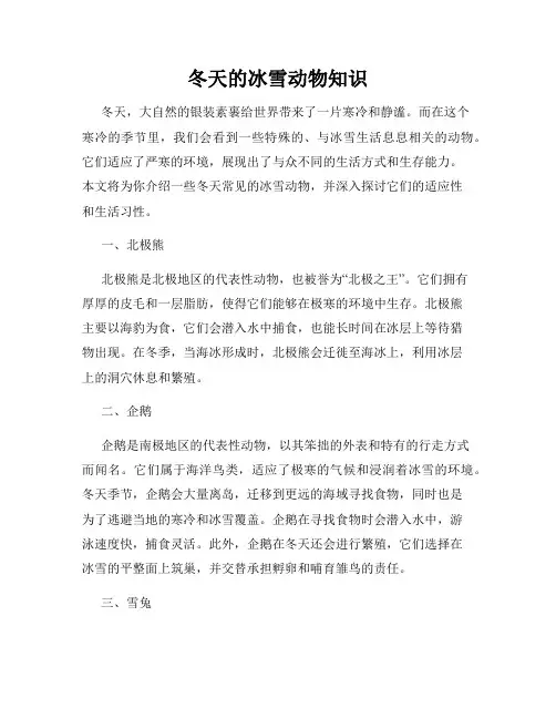 冬天的冰雪动物知识