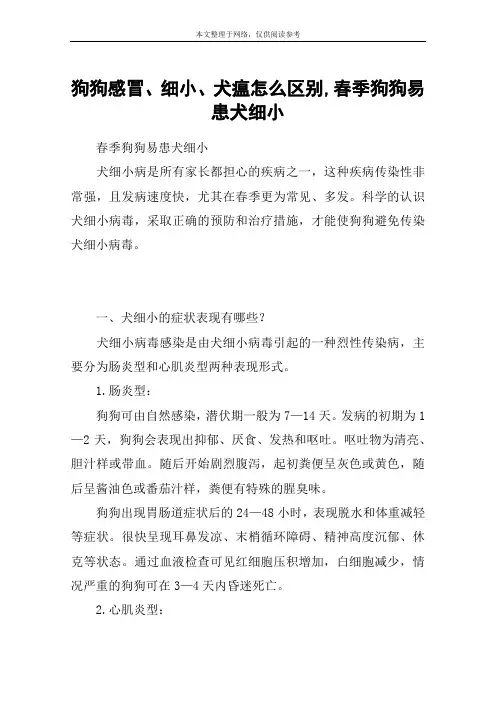 狗狗感冒、细小、犬瘟怎么区别,春季狗狗易患犬细小