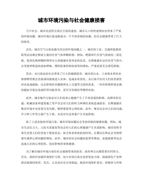 城市环境污染与社会健康损害