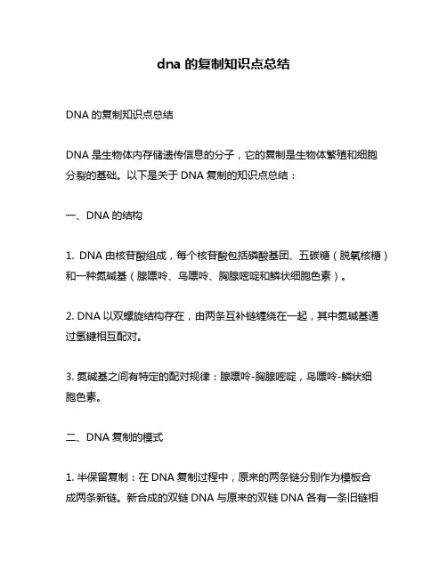 dna的复制知识点总结