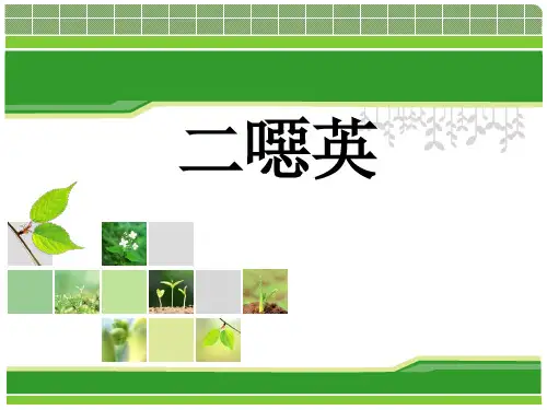 二恶英介绍(精装版)