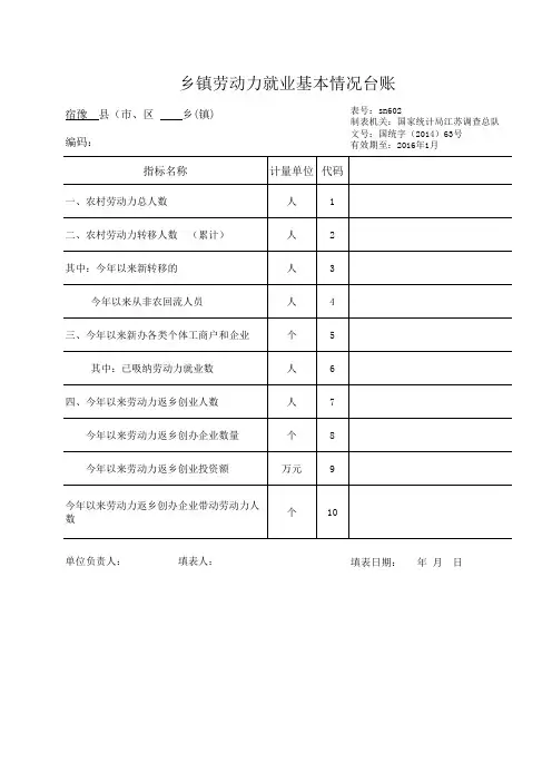 劳动力就业基本情况台账