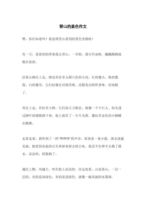 登山的景色作文