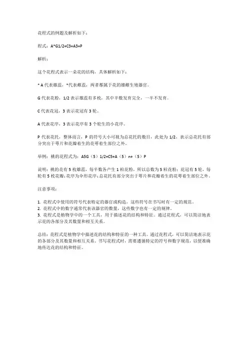 花程式例题及解析