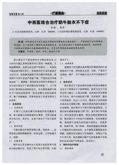 中西医结合治疗奶牛胎衣不下症