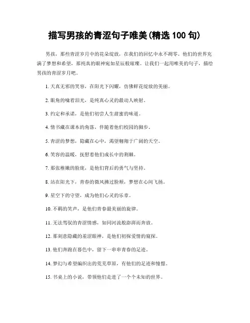 描写男孩的青涩句子唯美(精选100句)